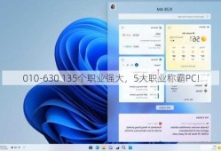 010-630 135个职业强大，5大职业称霸PC！