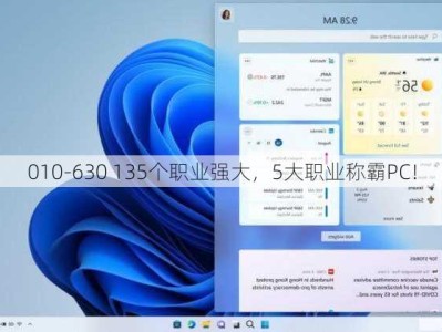 010-630 135个职业强大，5大职业称霸PC！