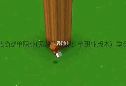 无赦传奇sf单职业(无赦传奇SF：单职业版本) | 学会了吗